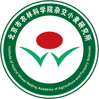 0-杂交小麦研究所LOGO.png